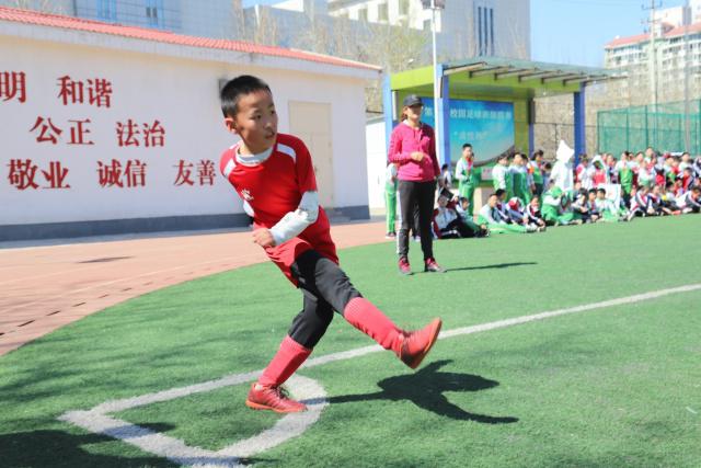 南安普顿有意聘请前罗马主帅尤里奇